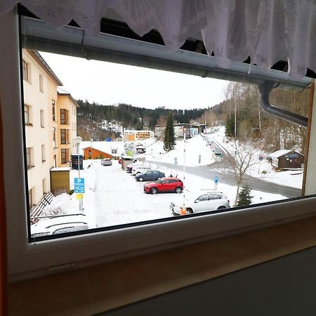 Apartmany Jana Янске-Лазне Екстер'єр фото
